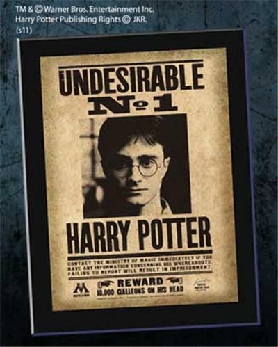 Harry Potter - Plaque Undesirable N°1 Harry Potter