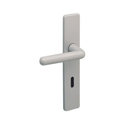 0165064 Paire De Plaque Longue Arcolor 8900 Br Clé I Gris