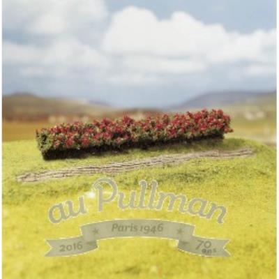 Faller - Modélisme accessoires de décor - Végétation - Arbres premium : 3 haies aux fleurs rouges