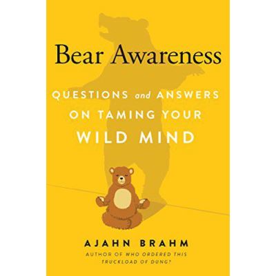 Bear Awareness: Questions and Answers on Taming Your Wild Mind - [Version Originale]
