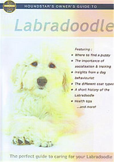 Owners Guide To Your Labradoodle