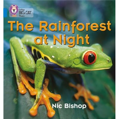 Collins Big Cat Phonics The Rainforest At Night: Band 04/Blue: Blue/Band 4 (Paperback)
