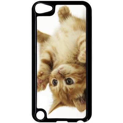 Coque ipod touch 5 petit chaton mignon
