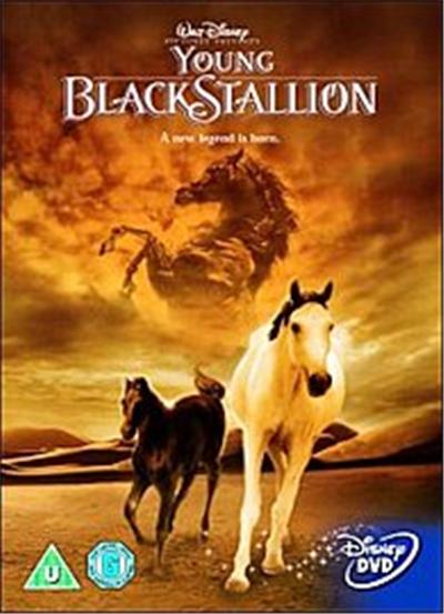 The Young Black Stallion