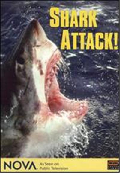 NOVA: Shark Attack! - DVD Zone 1