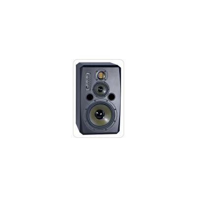 Enceinte de Monitoring ADAM S3XV