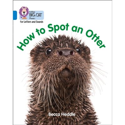Big Cat Phonics Be An Otter Expert