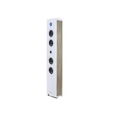 BigBen Interactive DS301 Système Audio