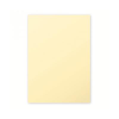 Etui de 25 feuilles Pollen A4 Chamois 210g