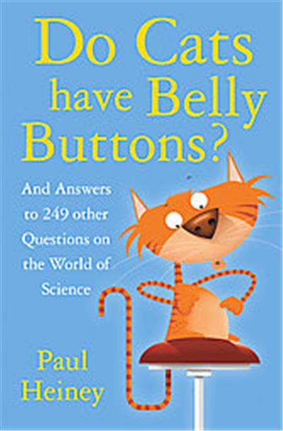 Do Cats Have Belly Buttons?