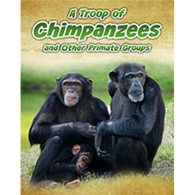 A Troop Of Chimpanzees: And Other Primate Groups (Animals In Groups) (Paperback)