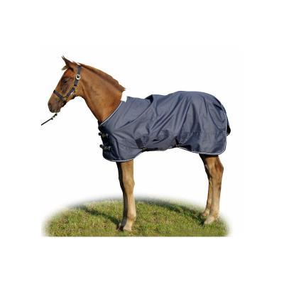 Couverture pour poulain Professional Bleu 75CM