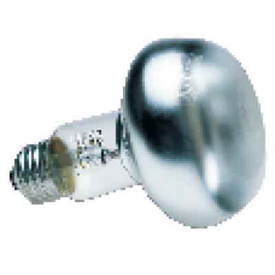Lampe de lumière et chaleur Basking Spot de Zoo Med. 40W