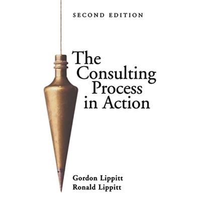 The Consulting Process in Action