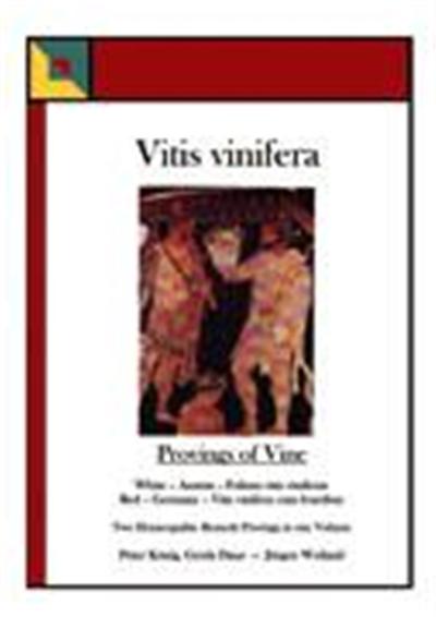 Vitis vinifera - Provings of Vine