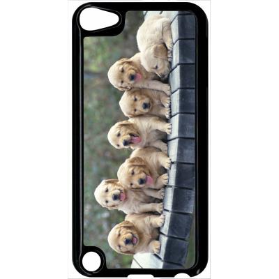 Coque ipod touch 5 chiots golden retriever