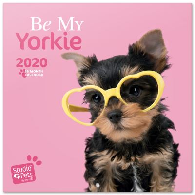 Calendrier 2020 30X30 Studio Pets Yorkie
