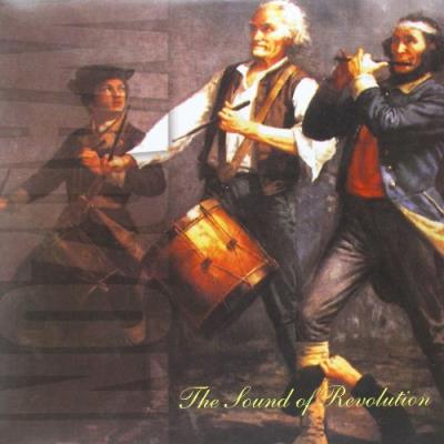 The Sound Of Revolution (2LP)