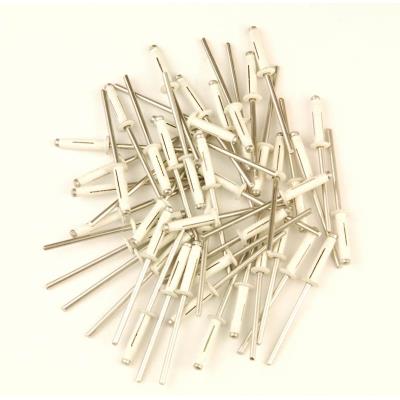 Rivets Trigrip De 4 X 20 Blancs Pour Plaques Mineralogiques