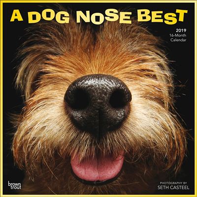 A Dog Nose Best Calendrier 2019 carré 30 x 30 cm