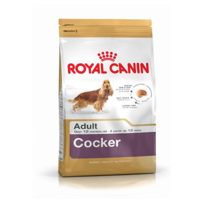 Royal Canin - Croquettes Cocker pour Chien Adulte - 3Kg