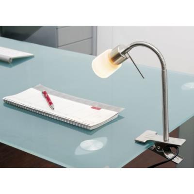 Lampe à pince avec col de cygne pour ampoules G9