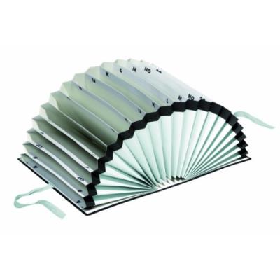 Pagna 24211-04 Préclasseur En Plastique 20 Intercalaires A-Z En Demi-Cercle Avec Bande Rabattable (Noir) 22905004