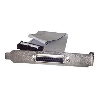 StarTech Cavo Di Testa Della Porta Parallela Lp - Foto 5