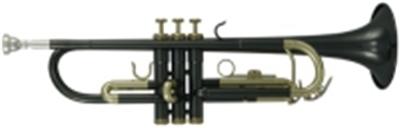 Roy Benson Student Series Trompette en Sib TR-101K anthracite