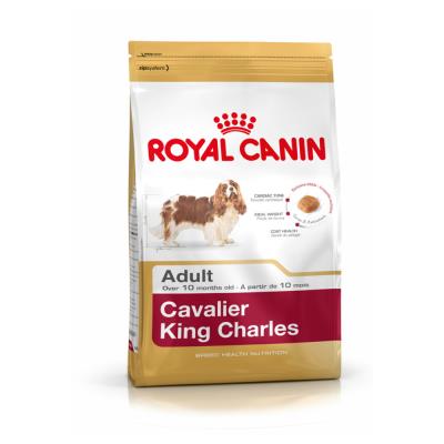 Royal Canin - Croquettes Cavalier King Charles pour Chien Adulte - 1,5Kg