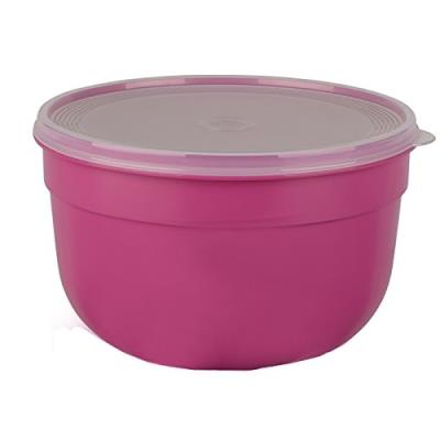 Emsa 517156 superline boîte alimentaire plastique rose 18 x 18 x 12 cm 4 l