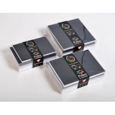 Pollen Lot de 5 Coffret 40 enveloppes 90x140 + 40 cartes 82x128 Hiver (5 couleurs)