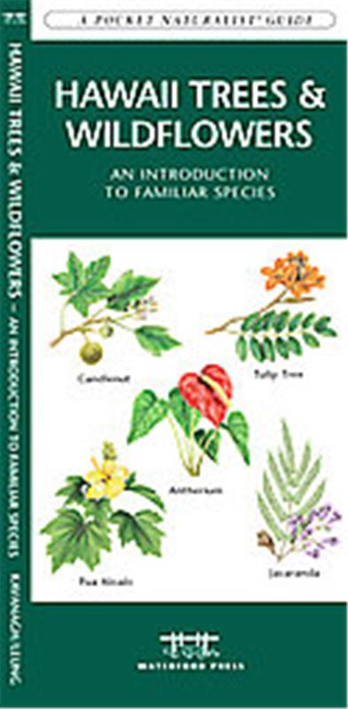 Hawaii Trees & Wildflowers, A   pocket naturalist guide