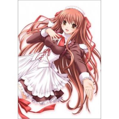 Parufu: Chocolat Second Brew [Limited Edition] [IMPORT JAPONAIS] État correct -  reconditionné disponible sur Fnac