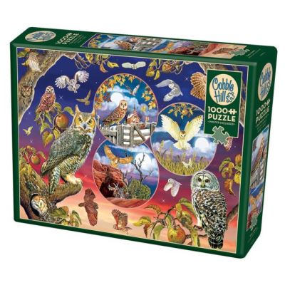 Cobble Hill Puzzle Owl Magic 1000 pièces