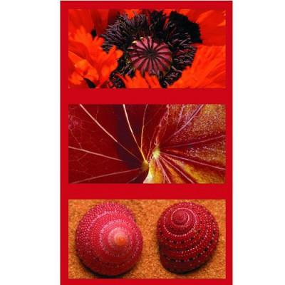 Ravensburger - Puzzle 1500 pièces - Triptyque : Impressions naturelles en rouge