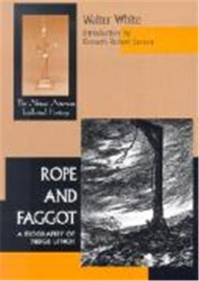 Rope and Faggot, African American Intellectual Heritage Series