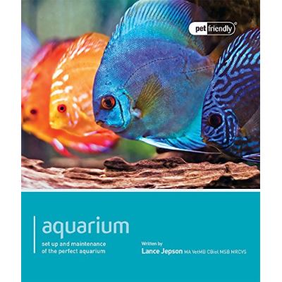 Aquarium - Pet Friendly: Understanding and Caring for Your Pet