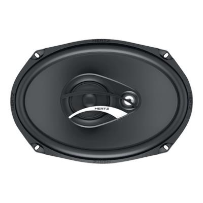 Hertz Dieci DCX 690.3 - luidspreker