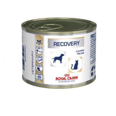 Meilleurs prix pour Royal canin veterinary diet - recovery - 1 boîte