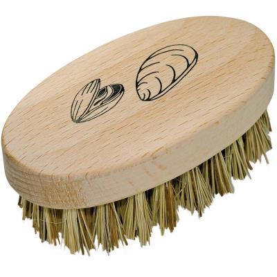 Brosse à coquillages en hêtre