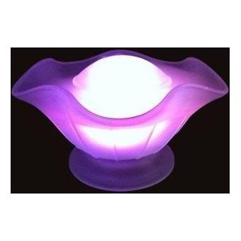 Brumisateur d'ambiance phoenix en verre blanc 24x16cm - 1