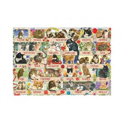 Puzzle 1000 pièces : Anniversary Cats Jumbo