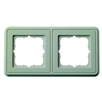 Telegärtner double frame for amj umj (b00005a0009y)