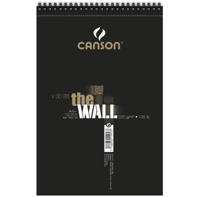 Canson The Wall Album Spiralé petit côté 30 feuilles extra lisse 220 g A4 Blanc 