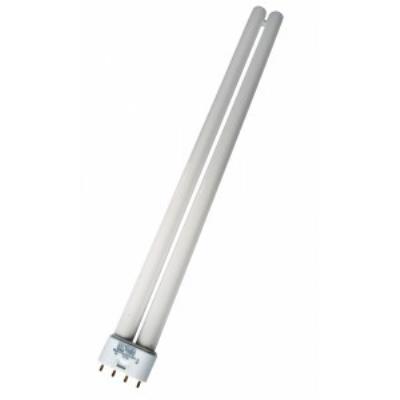 Tube de rechange pour lampe luminothérapie Genial Light