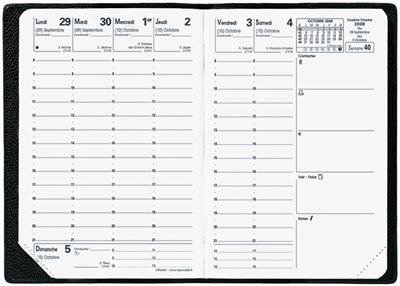 Recharge QuoVadis Agenda Affaires 10x15cm 2010