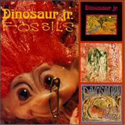 Fossils