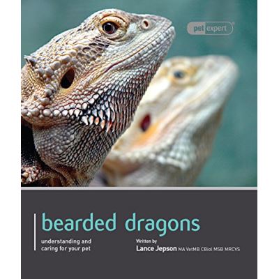 Bearded Dragon - Pet Expert: Understanding and Caring for Your Pet