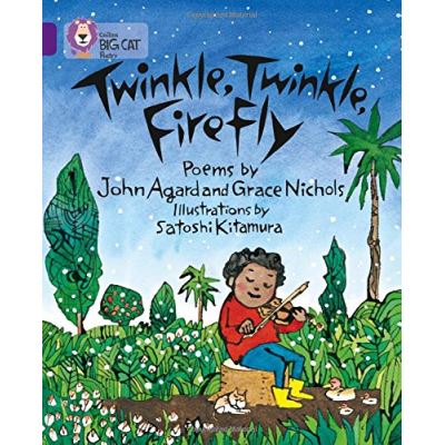 Twinkle, Twinkle, Firefly: Band 08/Purple (Collins Big Cat)